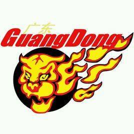 Harimau Selatan Guangdong U19